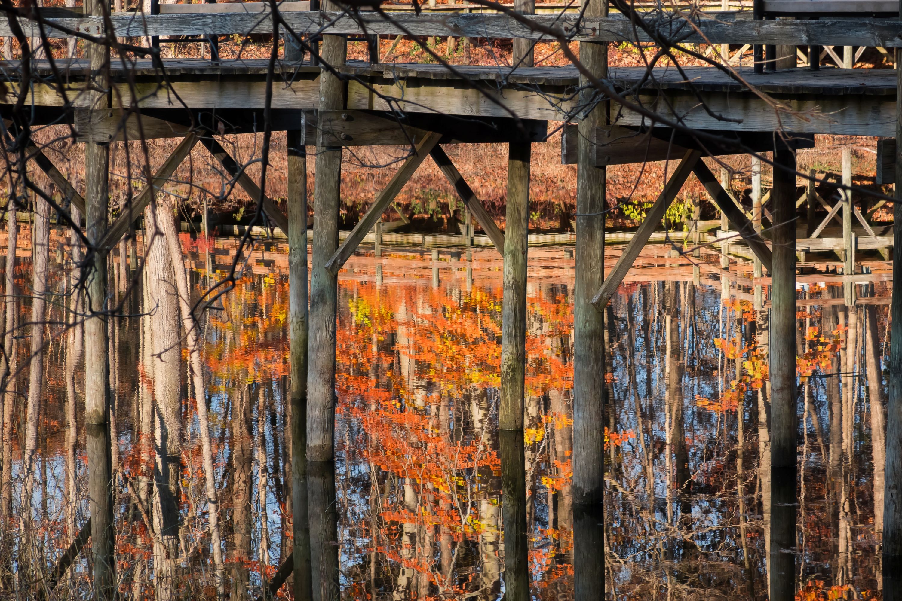 Oakland Township Shutterstock 2688243591