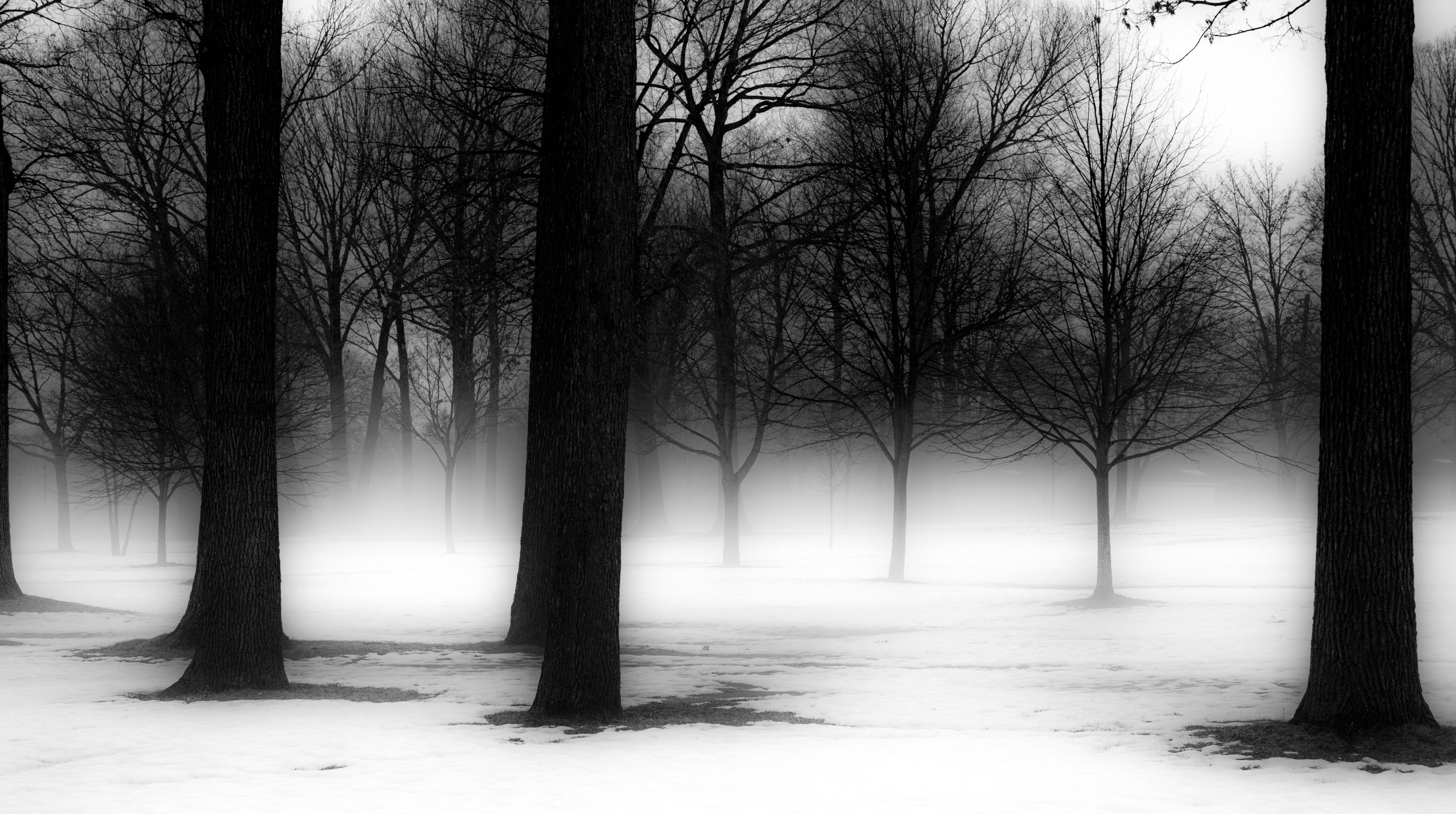 Clawson, MI Shutterstock 1026936451