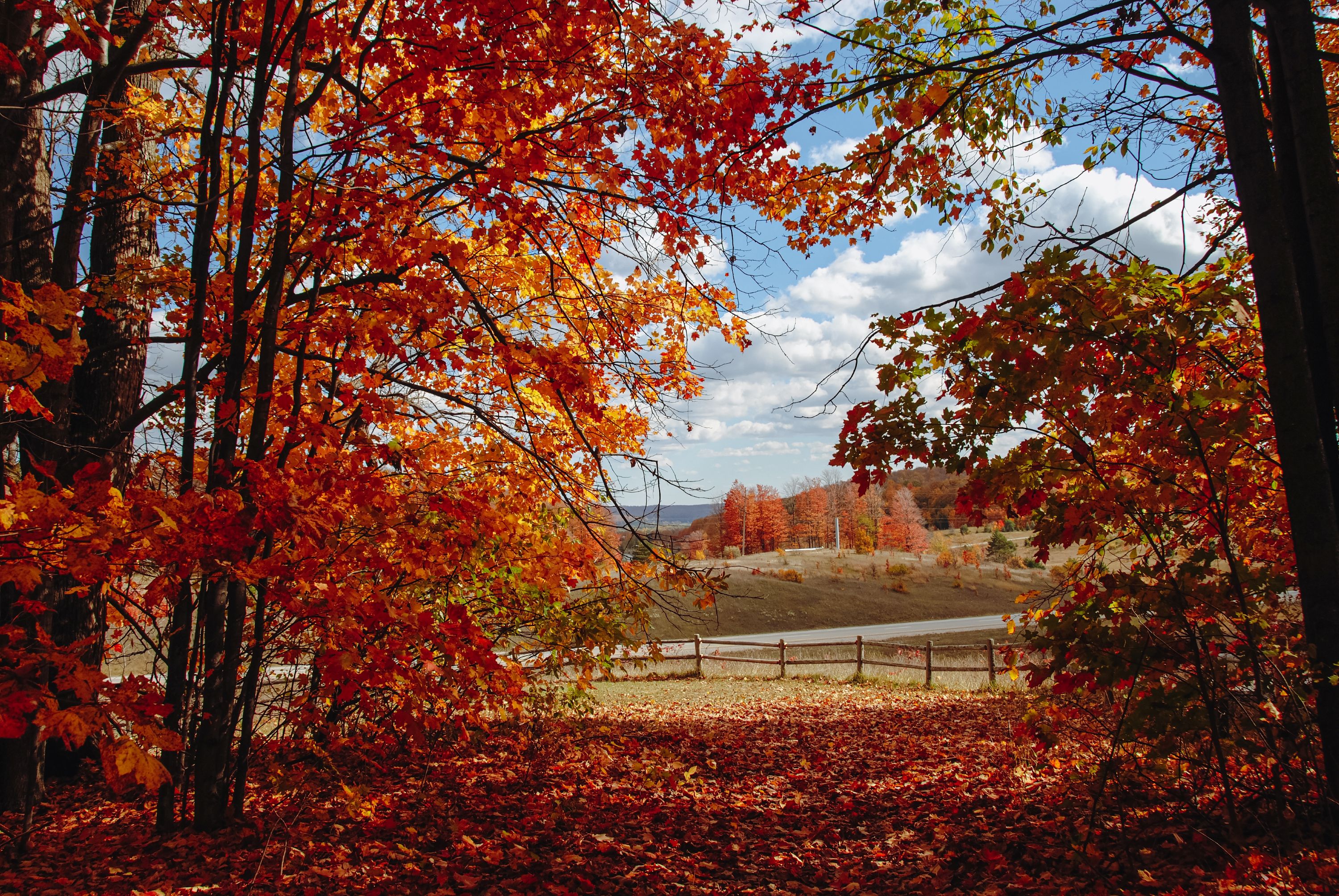 Warren Shutterstock 2059924244