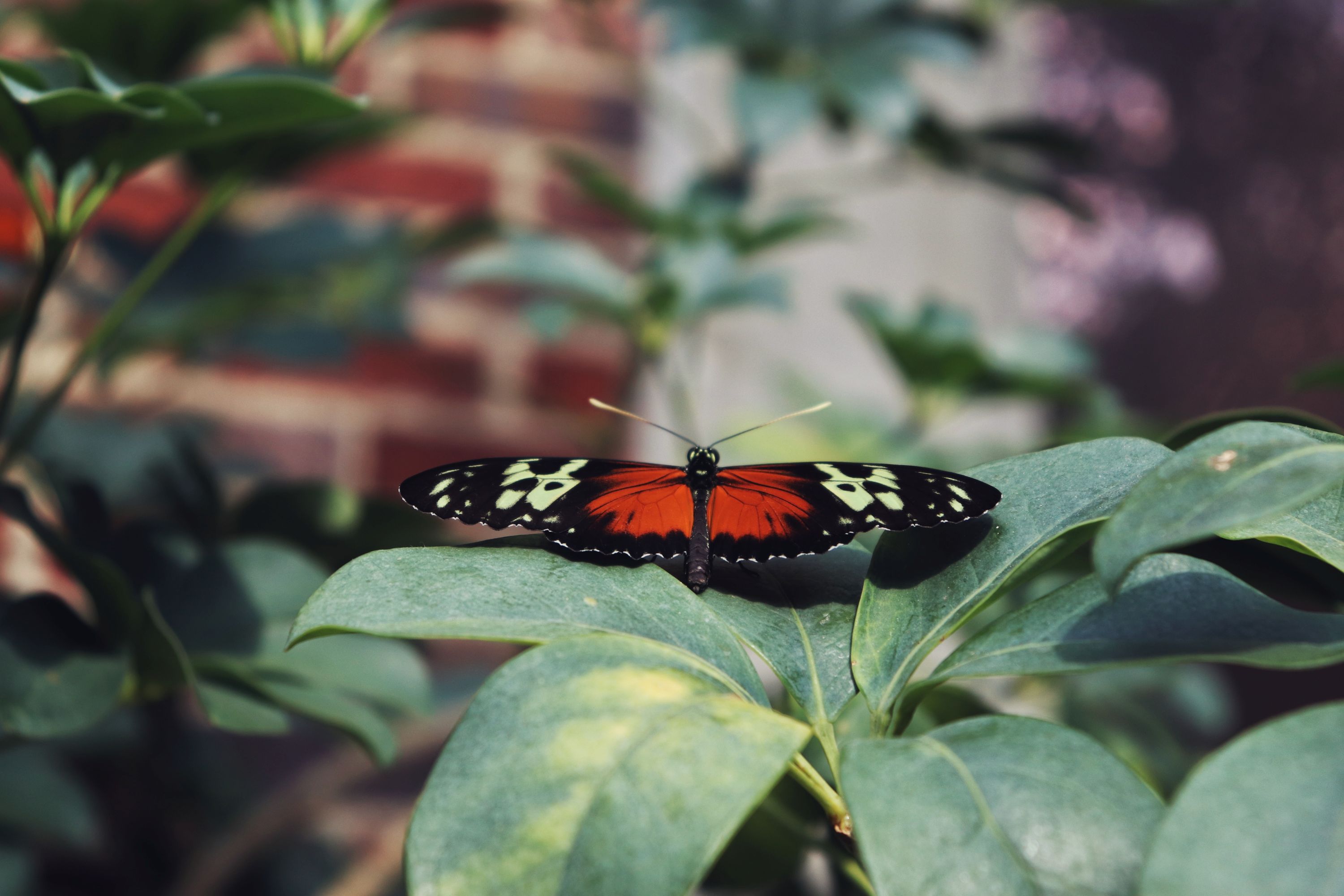 Huntington Woods Shutterstock 2245221145